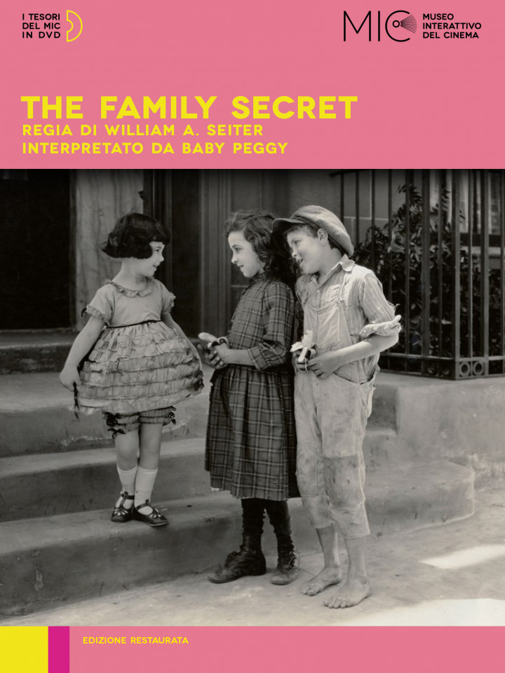 THE FAMILY SECRET